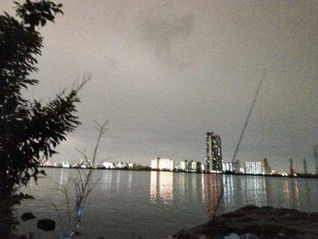 ベイトたくさんでワクワク