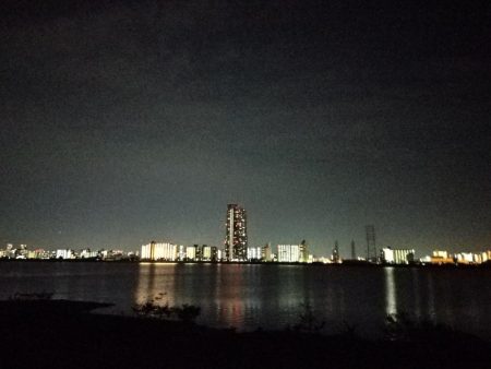 反応はあるが…