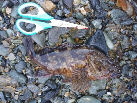 釣れないだろうな