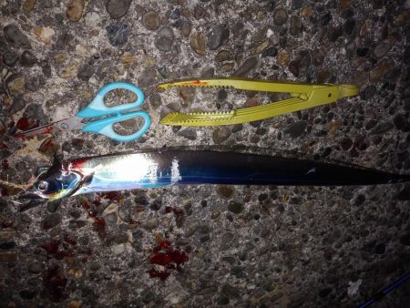 ポイント命！？