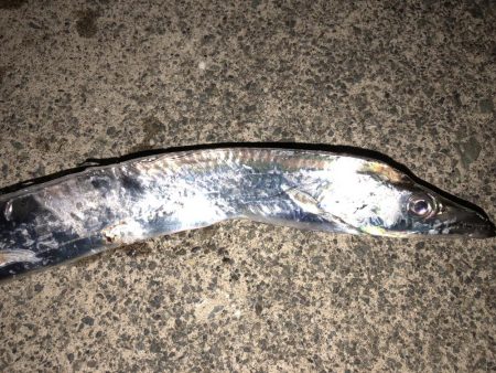 ナイトライトショアジギング