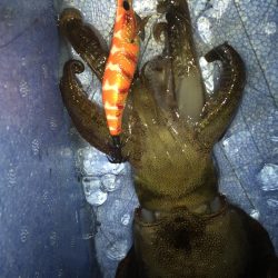 新潟　出張フィッシィング！