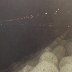 どじょうすげぇ！