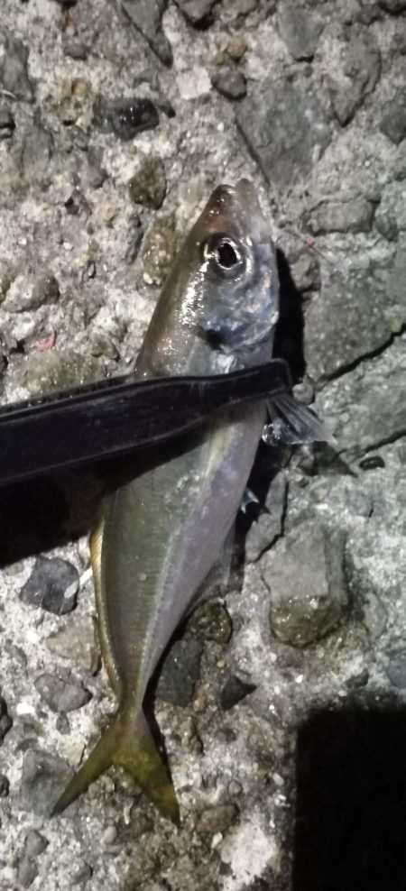 サイズアップしません