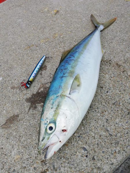 ショアキャスティング