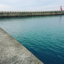 びっくりフィッシュ‼️