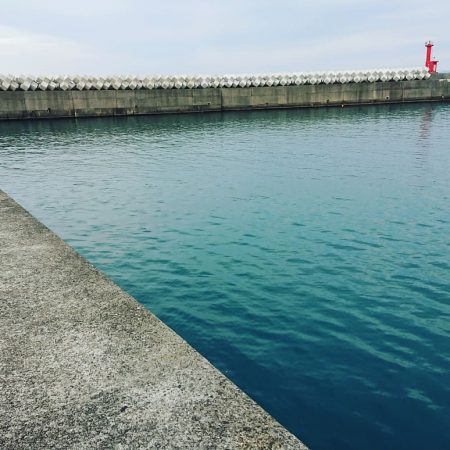 びっくりフィッシュ‼️