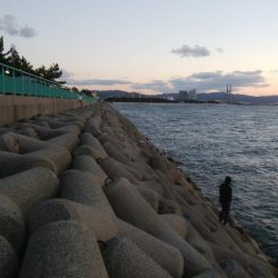 ワインド好調！