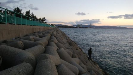 ワインド好調！