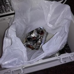 タチウオワインド