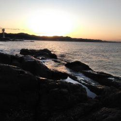 イサキ33cm・・アオリイカ一杯・・