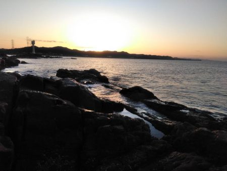 イサキ33cm・・アオリイカ一杯・・