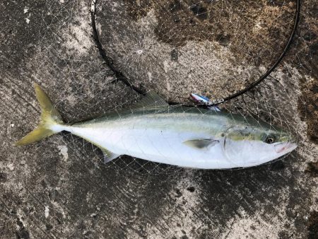 何とか目標達成