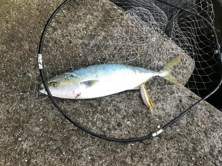 シーズン終盤渋い