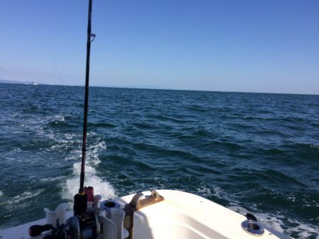 大阪湾オフショア釣果