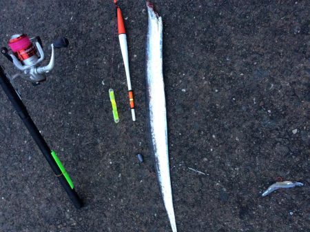 釣り2回目 タチウオ