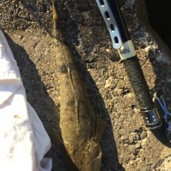 仕事が半ドンだったんで暇つぶし