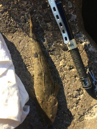 仕事が半ドンだったんで暇つぶし