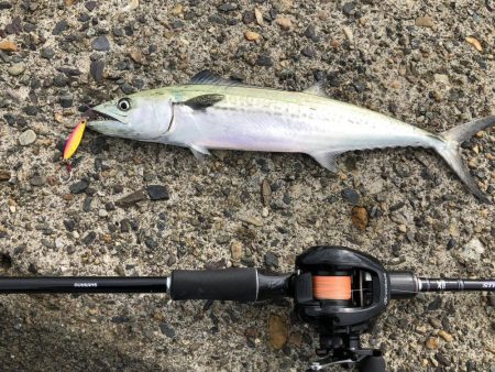 ベイトフィネスショアジギング