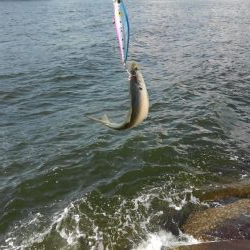 人多すぎ！マナーが…！