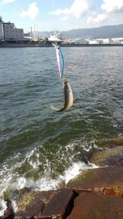 人多すぎ！マナーが…！