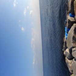 やっとタチウオ釣れました。　