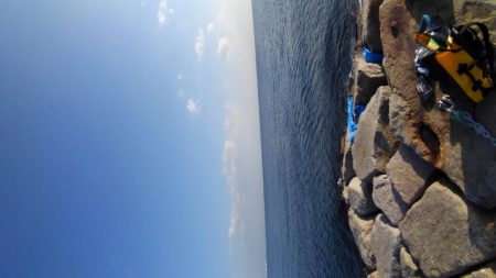 やっとタチウオ釣れました。　