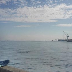 青物はアジがお好き‼️