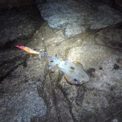 まだまだ渋い( ´-ω-)