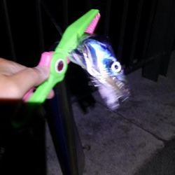 おおう、坊主じゃなかった!