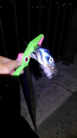 おおう、坊主じゃなかった!