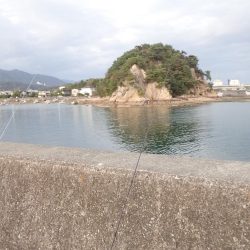 カレイ（投げ釣り）