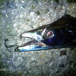 タチウオのウキ釣り