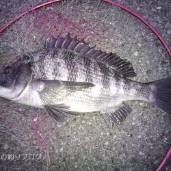 久々ウキフカセ