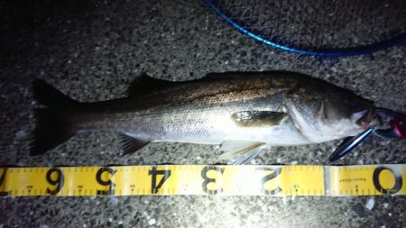 スイミングシンペンでしてやったり！