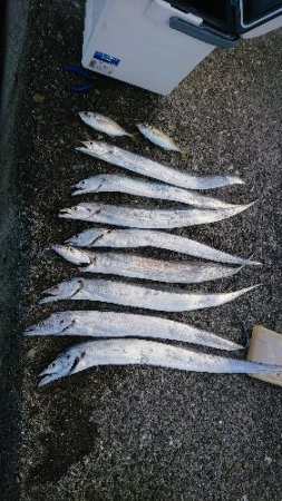 予想外の大物が…