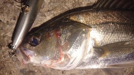 朝練皆が集う激戦区に出撃！