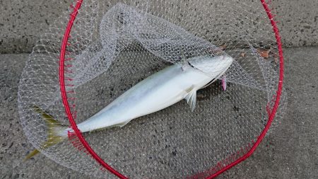 久々に来たぁ～！