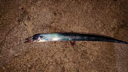 一人時合いモード！？