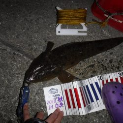 虫ヘッドで五目釣り