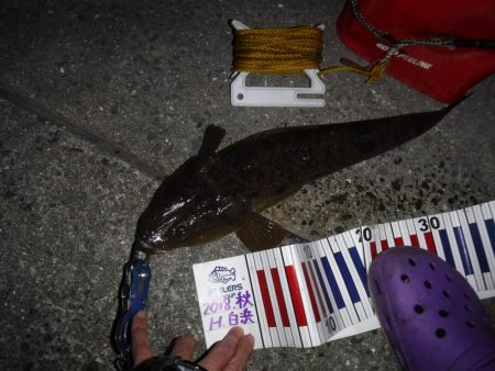 虫ヘッドで五目釣り