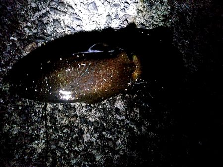 台風後の一杯です!!