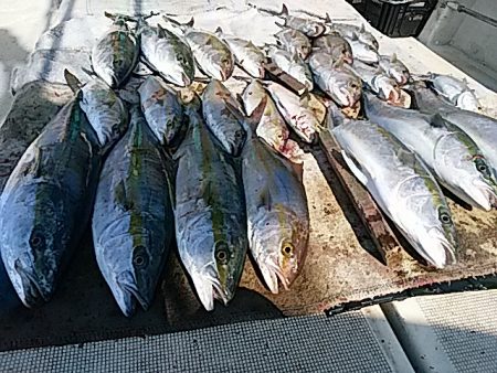 大物釣果速報！●光義丸：平戸市早福港