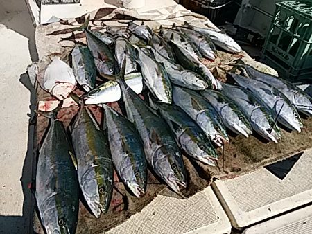 大物釣果速報！●光義丸：平戸市早福港