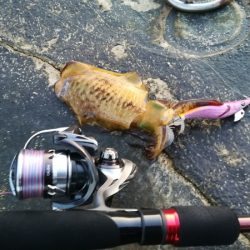 ちがうだろーちがうだろーー！！