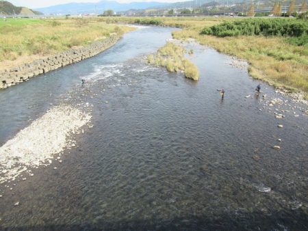 狩野川(狩野川漁業協同組合) 釣果
