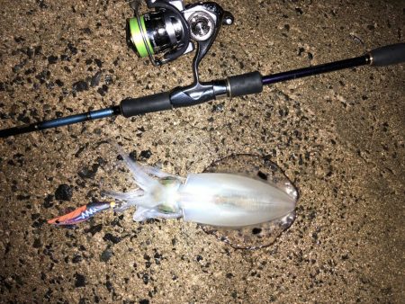 台風の前の静けさ