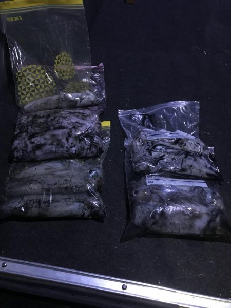 白浜～日置でエギング。まあまあ大型も