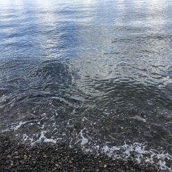 サーフ エギング