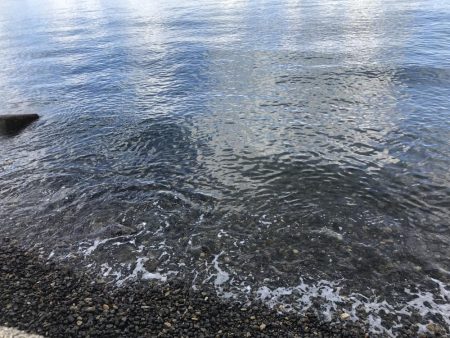 サーフ エギング